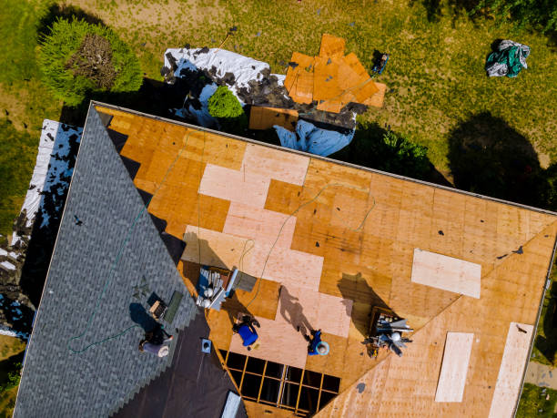 Best Roof Maintenance Services  in Hico, TX