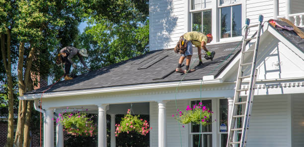 Best Roof Gutter Cleaning  in Hico, TX